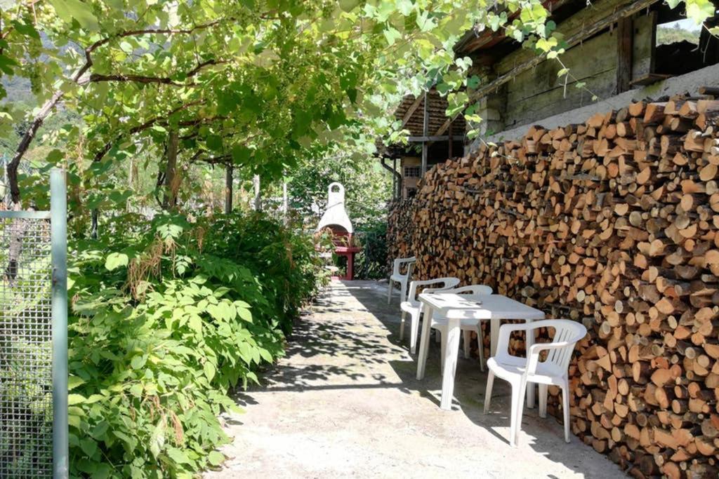 House Campi Apartment Riva del Garda Bagian luar foto
